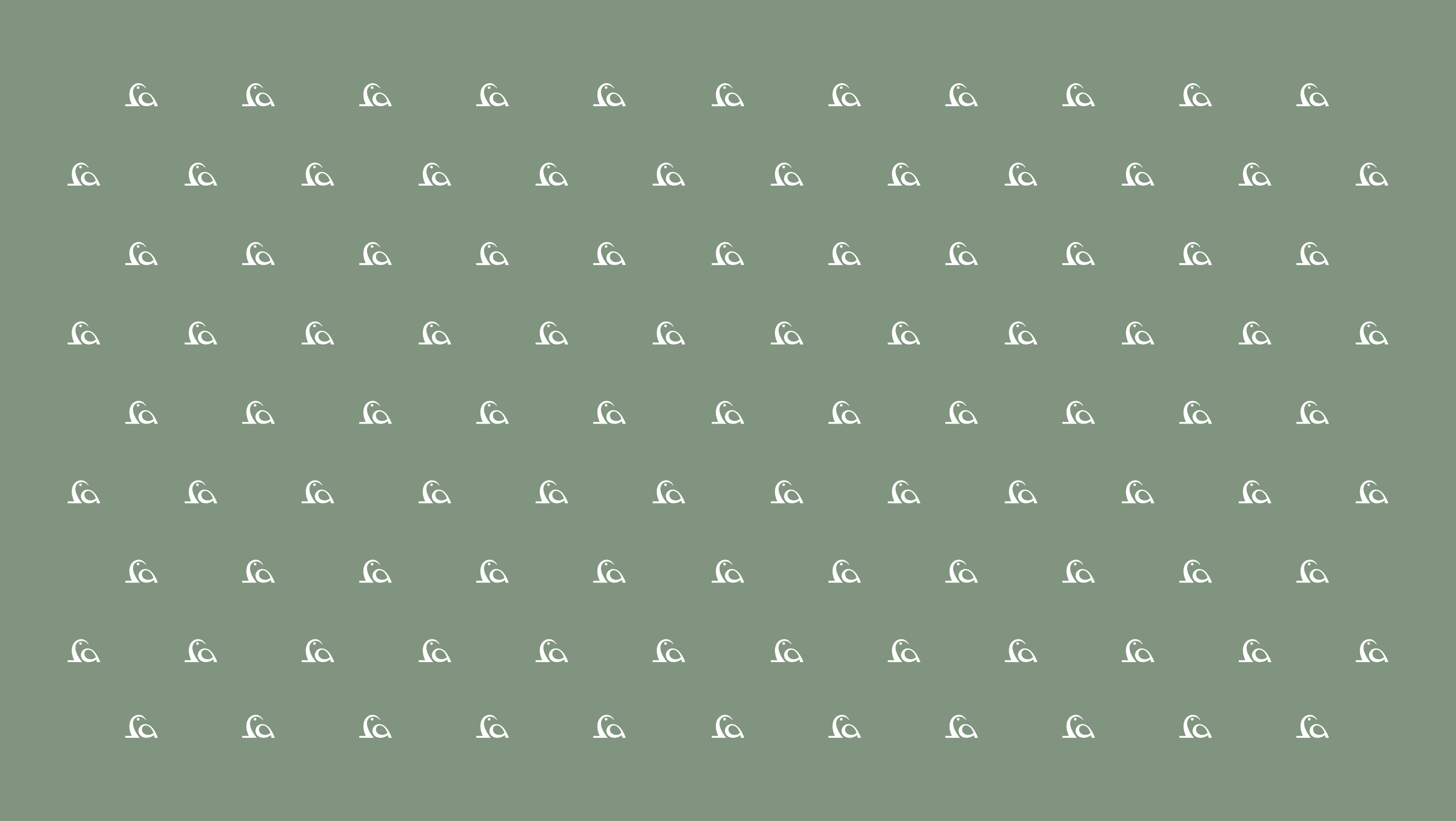 Sanctuary brand pattern